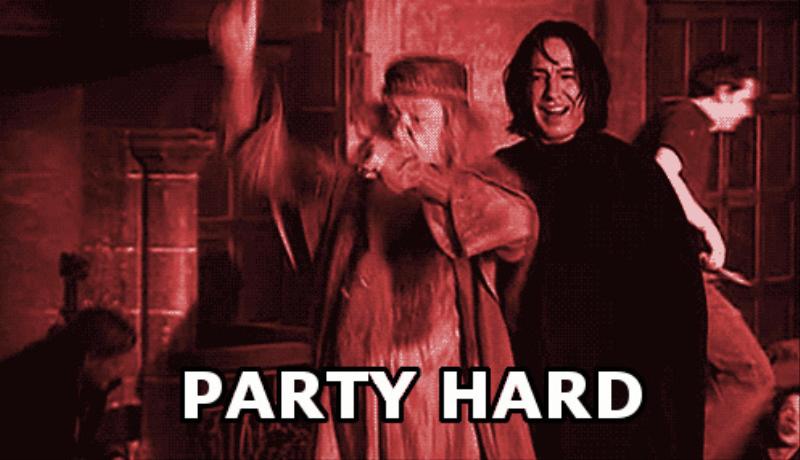 Image result for hogwarts rave