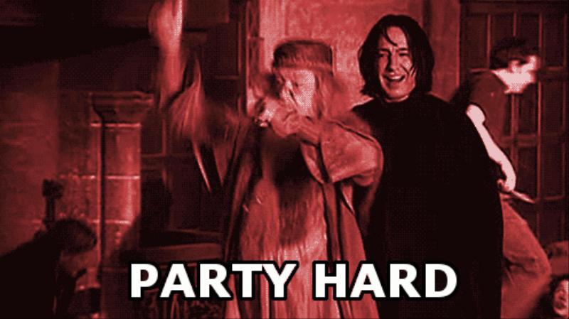 Image result for hogwarts rave